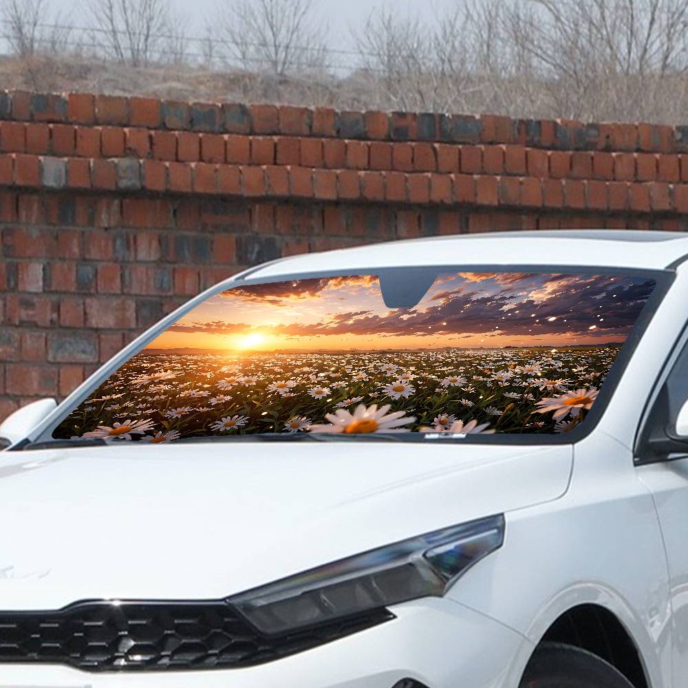 Sunshine And Flowers Auto-Sonn – Car Accessories Window Bewertung und Preis